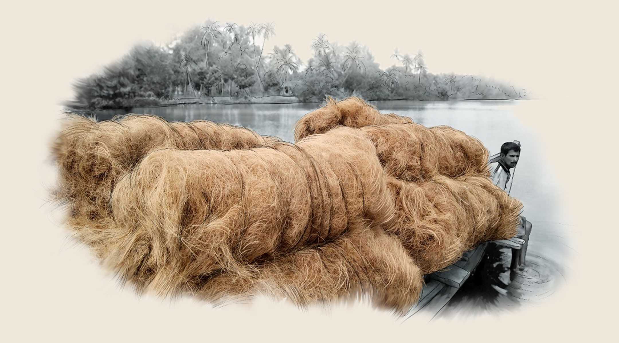 Natural coir materials